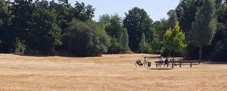 Ausgetrocknete Wiese in einem Park  - Link auf: Klimanotstand in Kleve