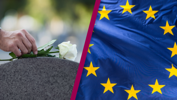 Collage mit zwei Fotos, links weiße Roste auf einem Stein, rechts EU-Flagge