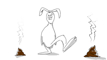 Zeichnung eines Hasen, der einem Hundehaufen ausweicht, aber gleich in einen zweiten Hundehaufen tritt  - Link auf: 1. Erkenntnis